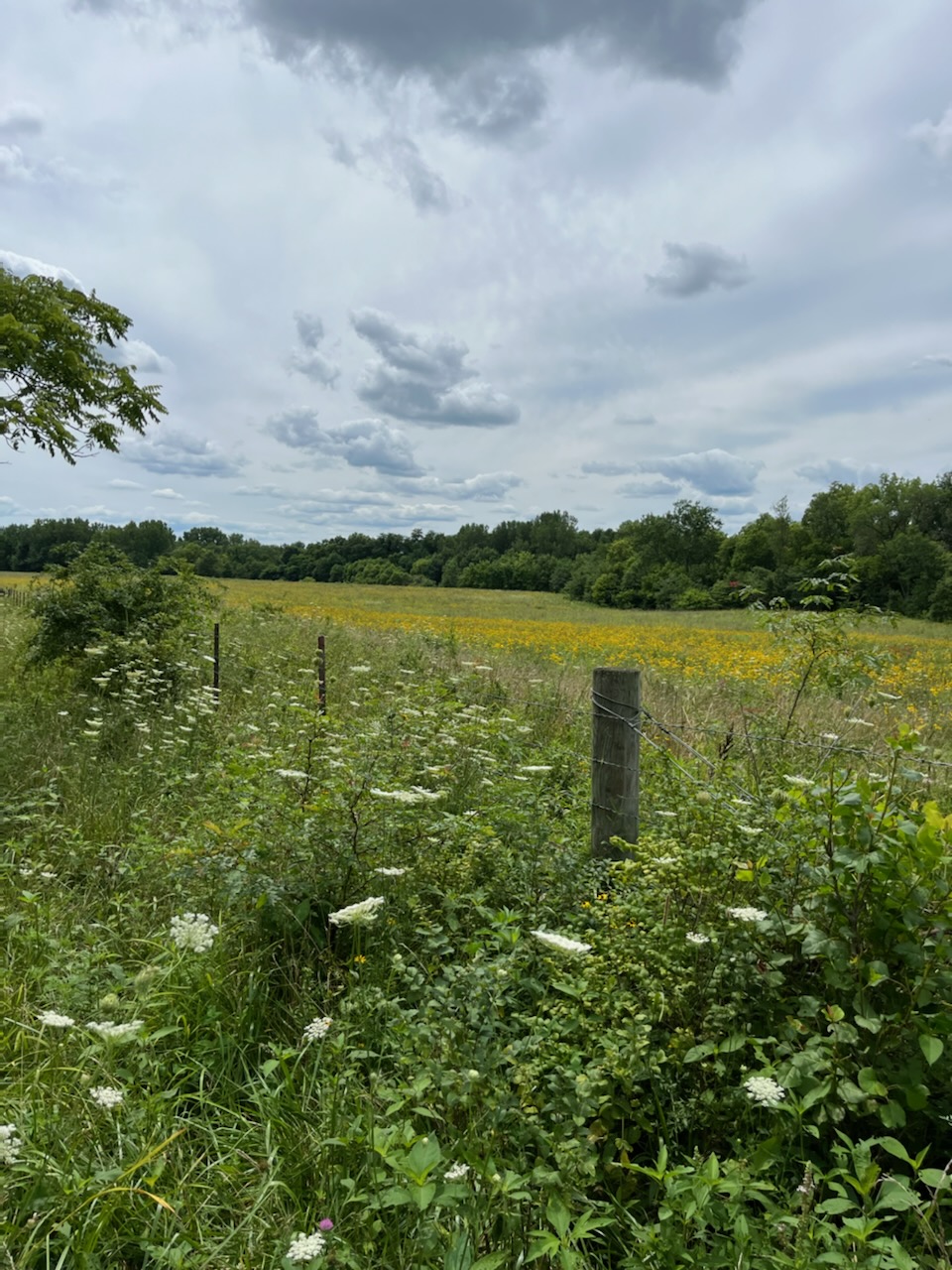 Conservation Reserve Program changes priorities over the years